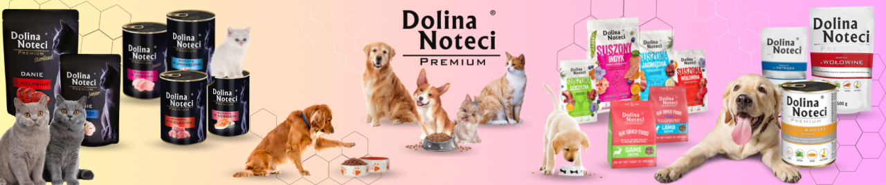 Dolina Noteci