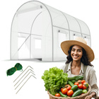 WHITE foil tunnel  with windows - 6m2 = 300*200*200