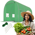 GREEN foil Tunnel with windows - 6m2 = 300*200*200