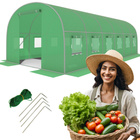 GREEN foil tunnel with windows - 18m2 = 600*300*200