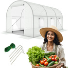 WHITE foil tunnel with windows - 10m2 = 400*250*200